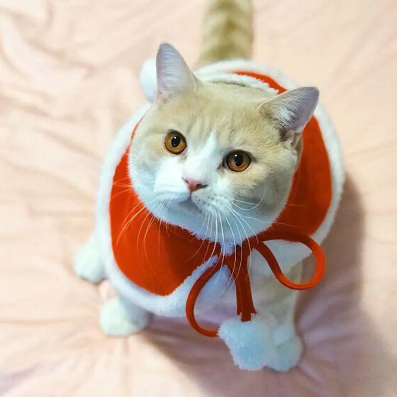 Cat Christmas Outfit - Santa Edition