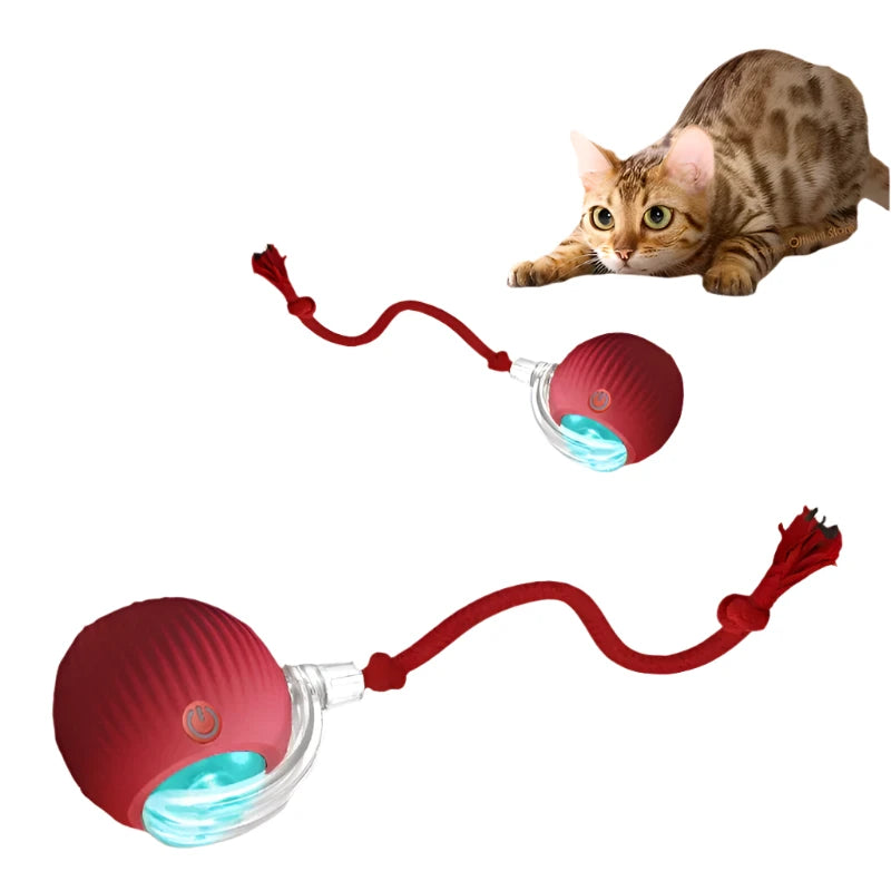 Cat Interactive Ball with Tail – The Ultimate Smart Toy!