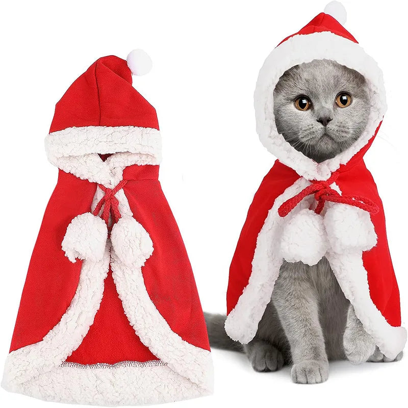 Cat Christmas Outfit - Santa Edition