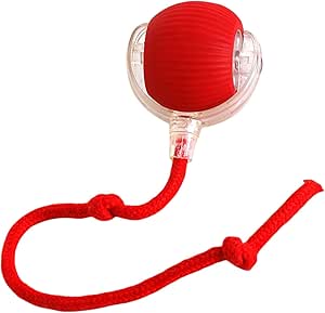 Cat Interactive Ball with Tail – The Ultimate Smart Toy!